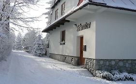 Taternica